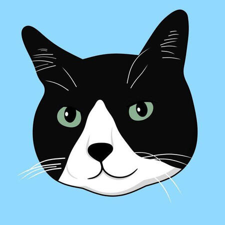 Onigiri Cat | NEIROs brother